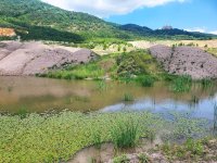 Lom ČSA – od těžby k divoké přírodě